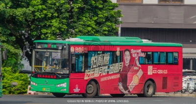 桂E 12929D