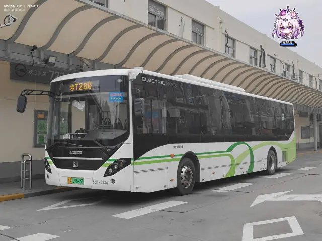 沪A·09523D/巴士五公司/S2W-0334