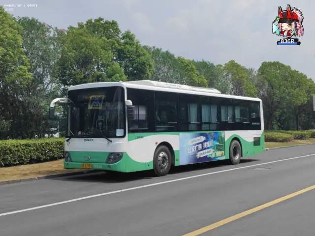 800BUS