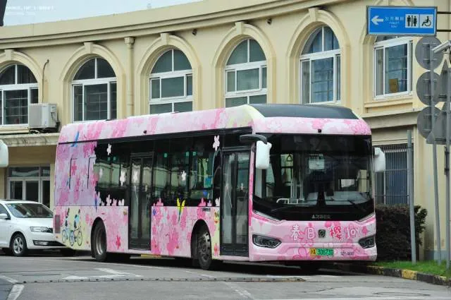 沪A30673D