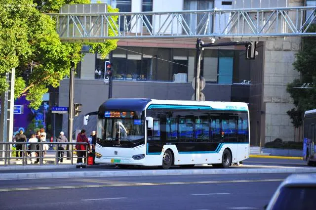 沪A56566D