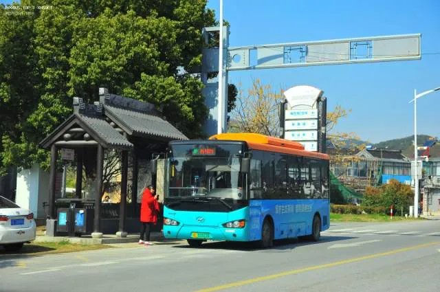 苏E03313D