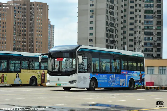 沪A 56303D