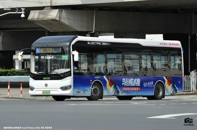 沪A 55613D