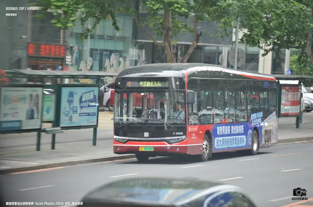辽B 08590D