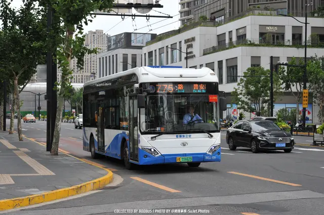 沪A 55662D