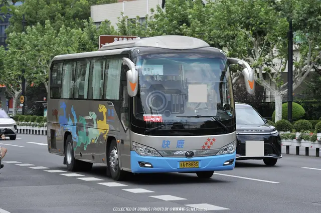 苏A M8885
