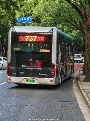 沪A 06730D