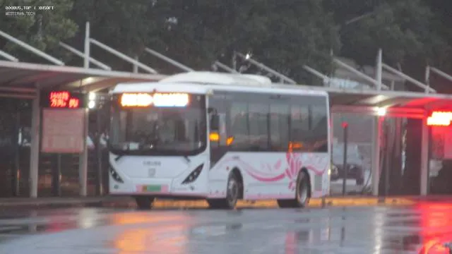 800BUS