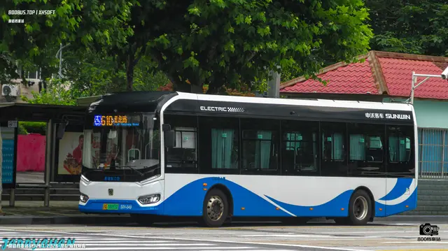 800BUS