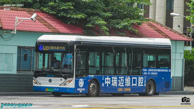 800BUS