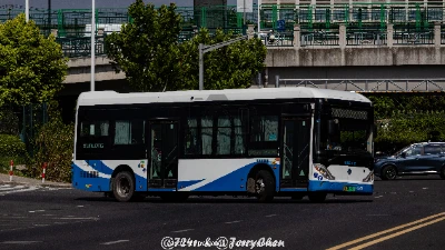 沪A 08994D