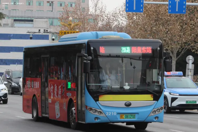 800BUS