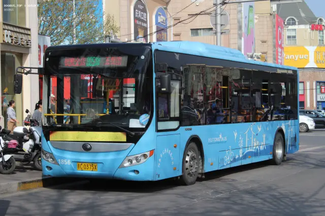 800BUS