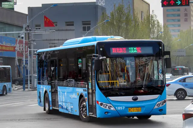800BUS