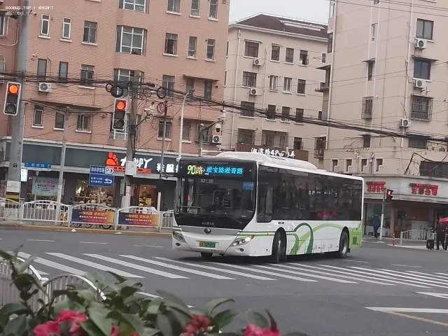 沪A 32595D