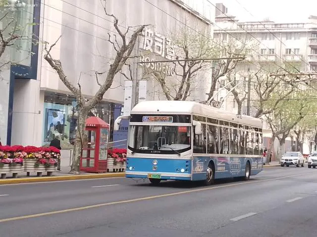 沪A 55053D