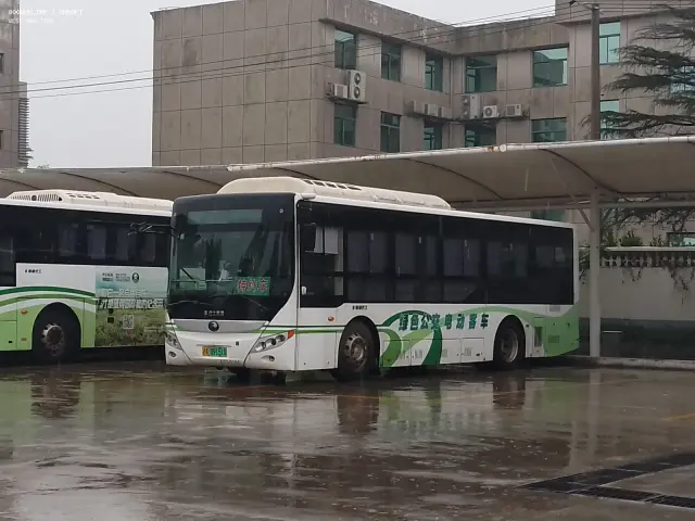 沪A 09151D