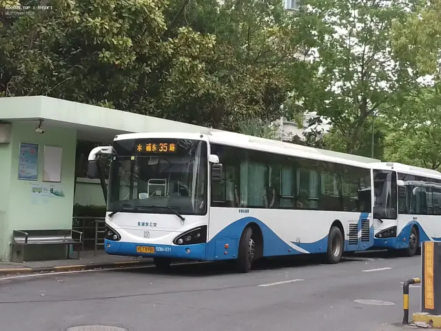 沪E T8980