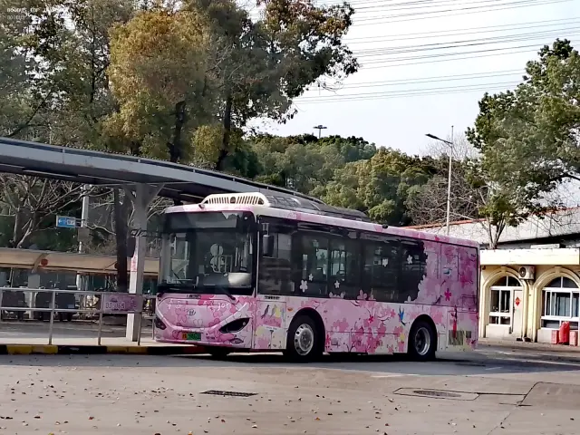 沪A 59660D
