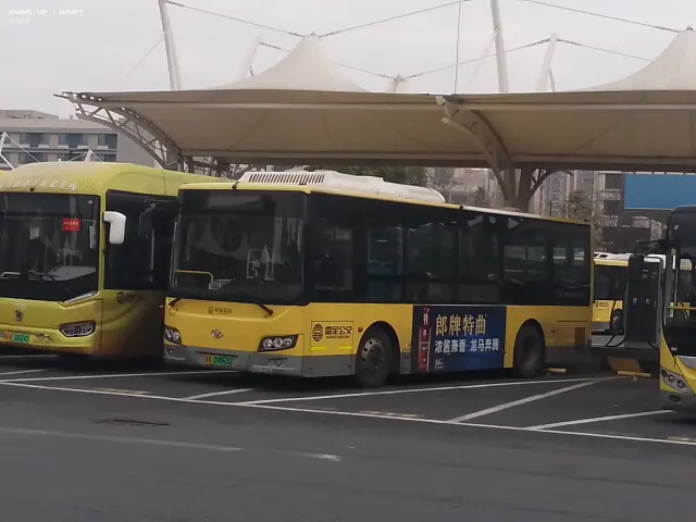 沪A 09063D