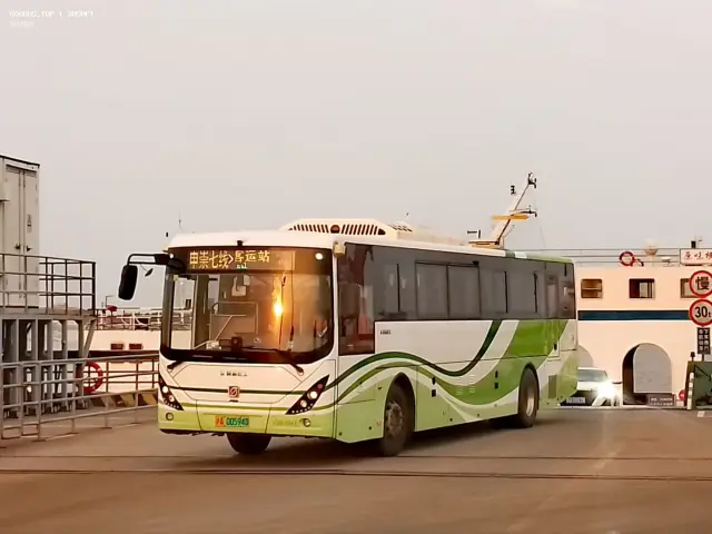 沪A 00594D