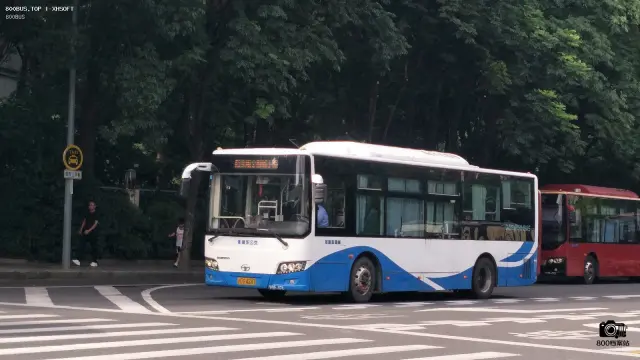 800BUS