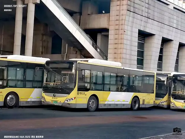 沪A 38336D