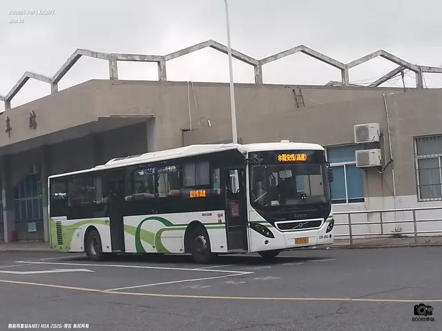 沪E D5381