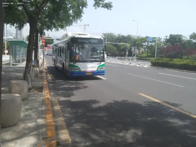 800BUS