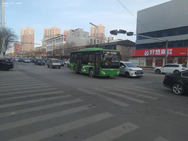 800BUS