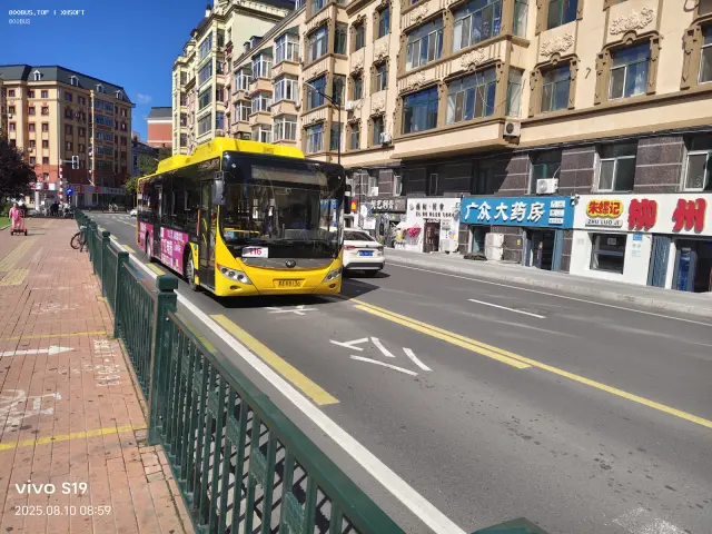 800BUS