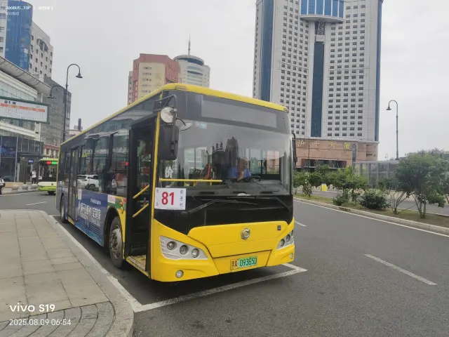 黑A 09365D