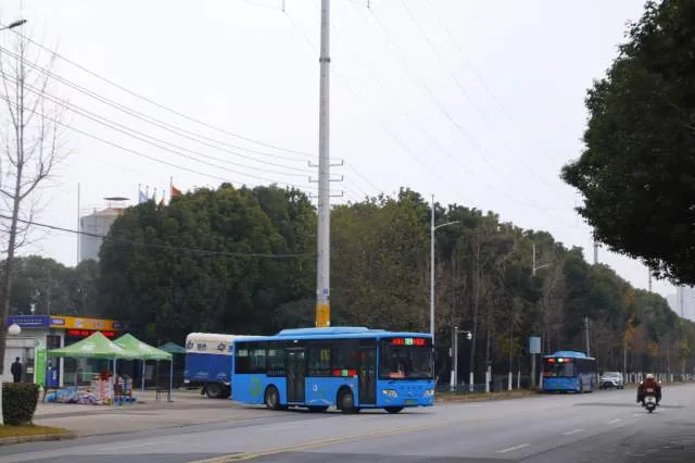 苏A16178