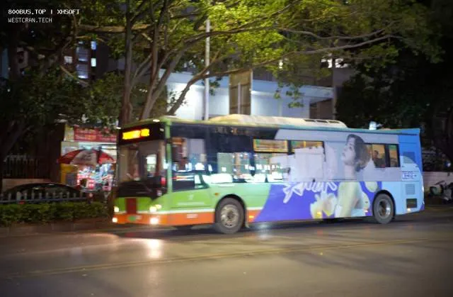 桂A05251D