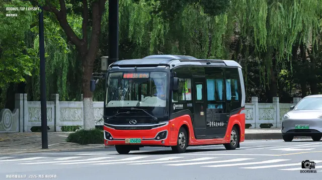 800BUS