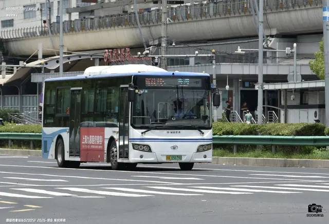 800BUS