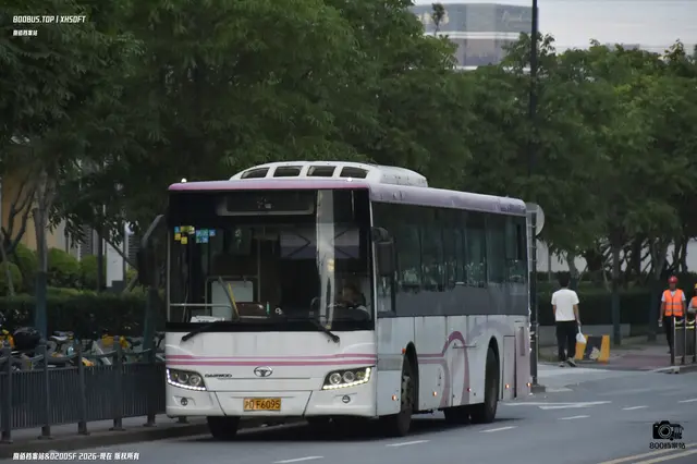 800BUS