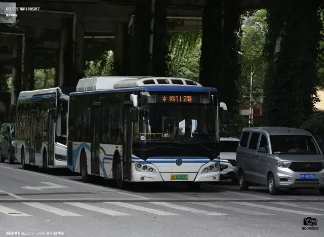 800BUS