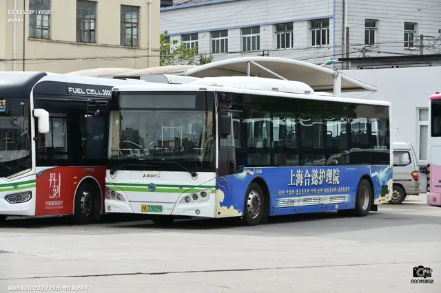 沪A 33029D