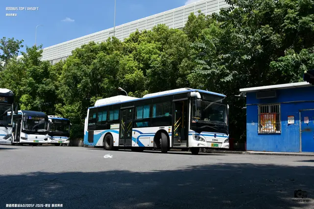 沪A 00936F