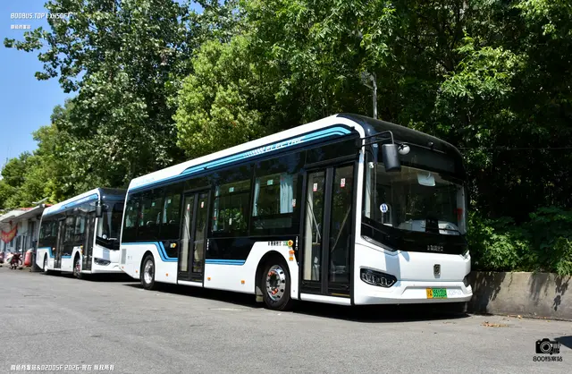 沪A 55120A
