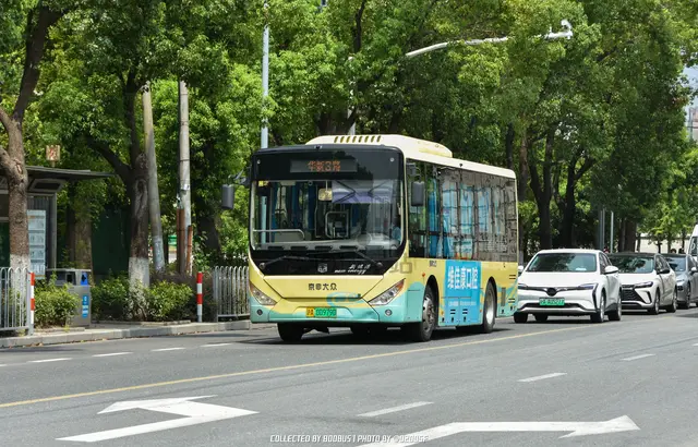 沪A 00979D