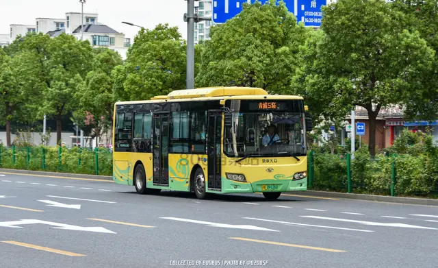 沪A 09126D