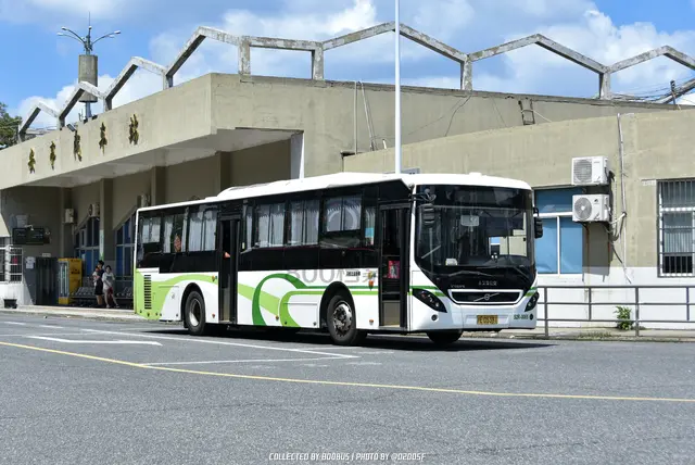 沪E D5381