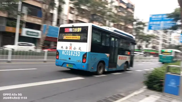 800BUS