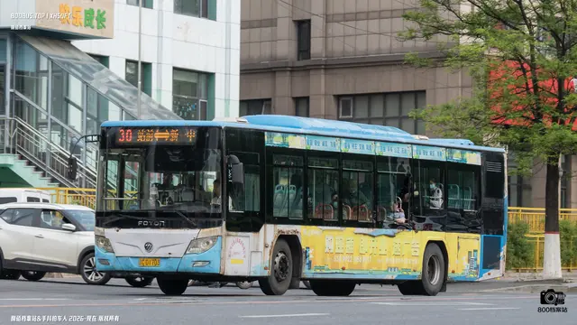 辽C D1703