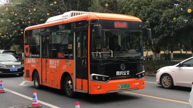 浙G 01991D