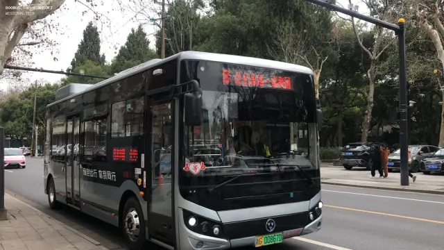 浙G 00867D