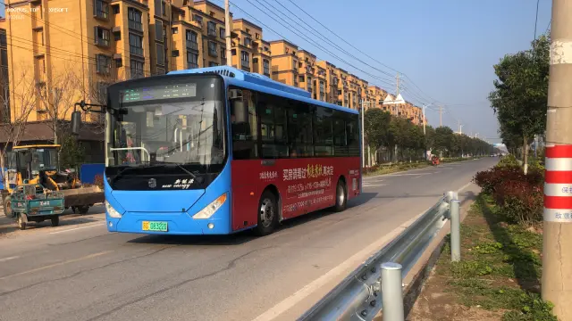 800BUS